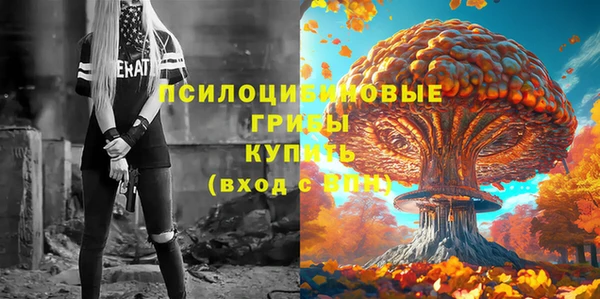 СК Алексеевка
