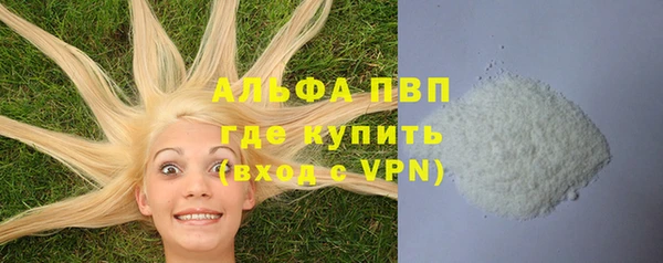 винт Алексин