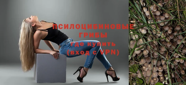 МДПВ Алзамай