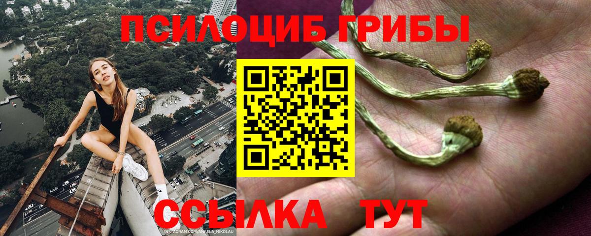 Курчалой  Галлюциногенные грибы мицелий  Галлюциногенные грибы Magic Shrooms  Вход с VPN 