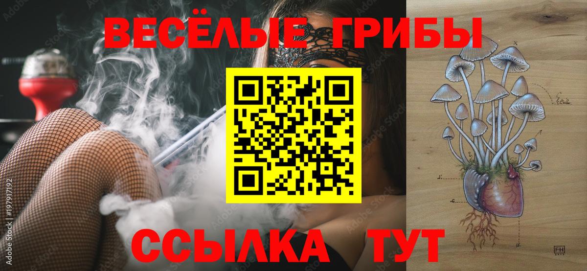 Галлюциногенные грибы мухоморы Курчалой