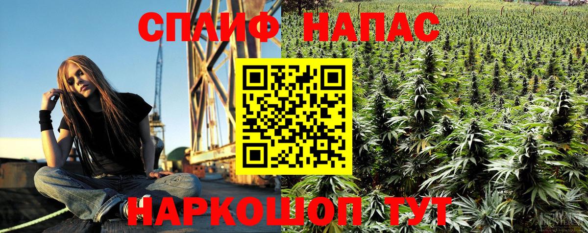 Канабис Ganja  Канабис LSD WEED  Шишки марихуана планчик  Курчалой  Вход с VPN 